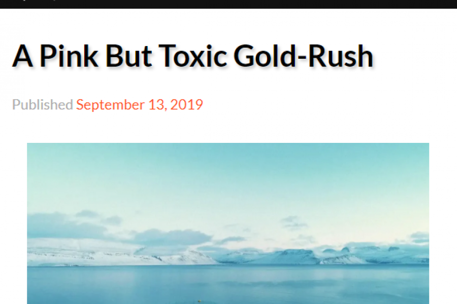 A Pink but Toxic Gold Rush – grein á ensku í The Reykjavík Grapevine um ógnirnar af sjókvíaeldi