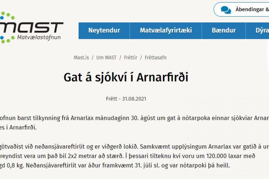 Stærðar gat á sjókví Arlarlax í Arnarfirði