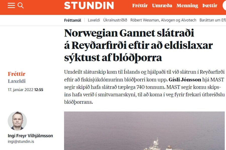 Raunveruleiki sjókvíaeldisins: Útlend verksmiðjuskip og fiskisjúkdómar