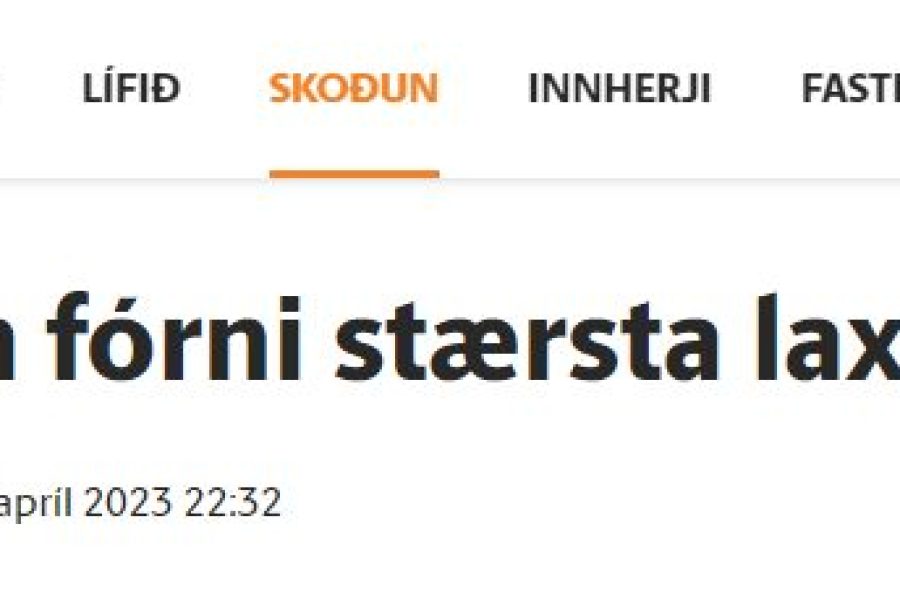 „Landsvirkjun fórni stærsta laxastofni Íslands?“ – grein Elvars Arnar Friðrikssonar