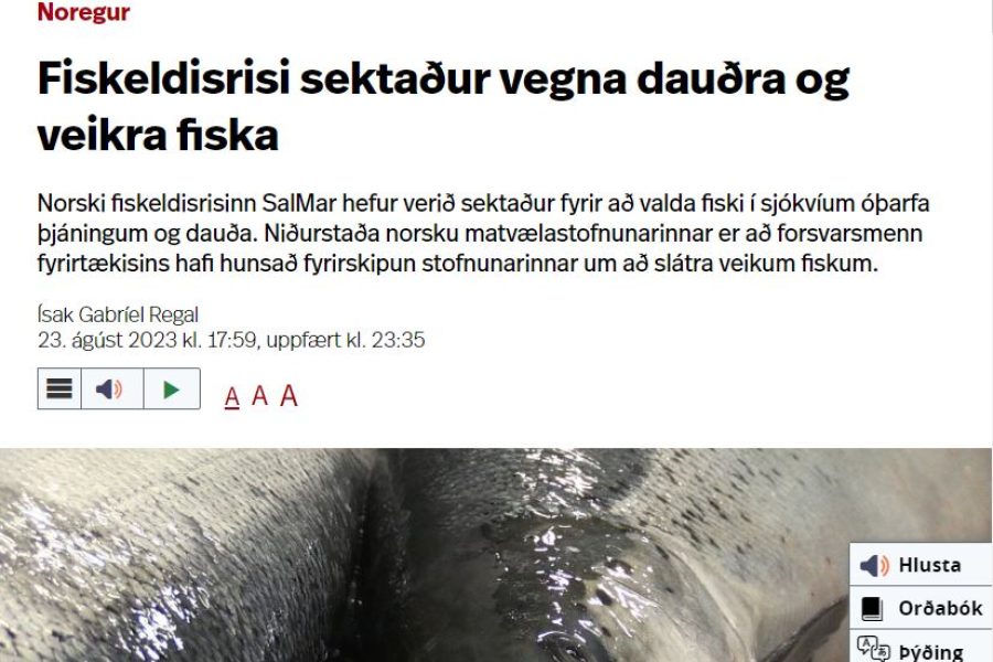 Móðurfélag Arnarlax sektað í Noregi fyrir skelfilegan aðbúnað í sjókvíum fyrirtækisins